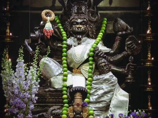 Maa Bagalamukhi Homas